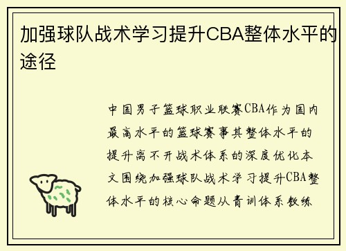 加强球队战术学习提升CBA整体水平的途径