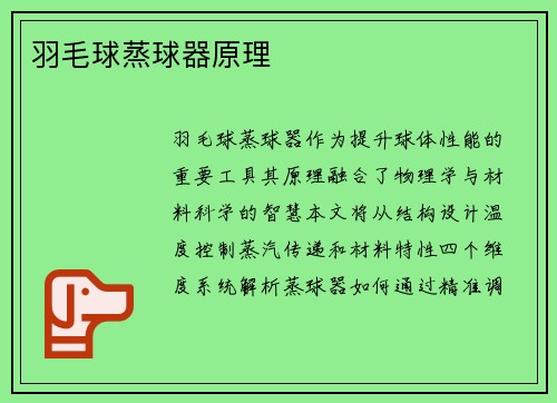 羽毛球蒸球器原理